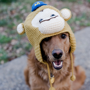 pupper hat