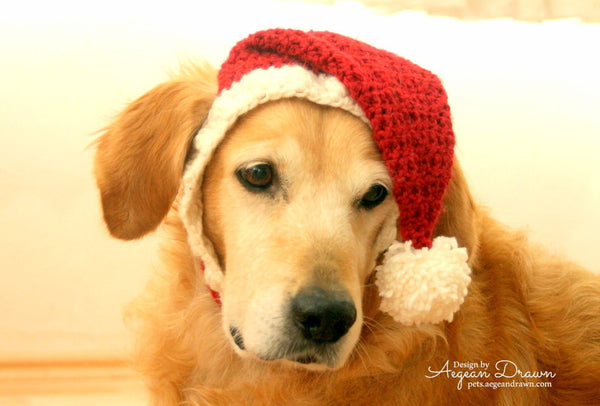 pupper hat